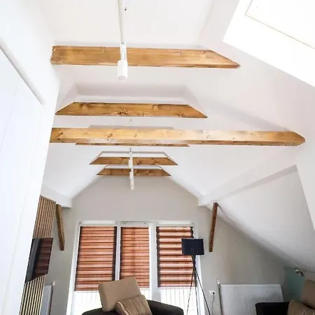 Domacin Komsijska Gostiona Zrenjanin