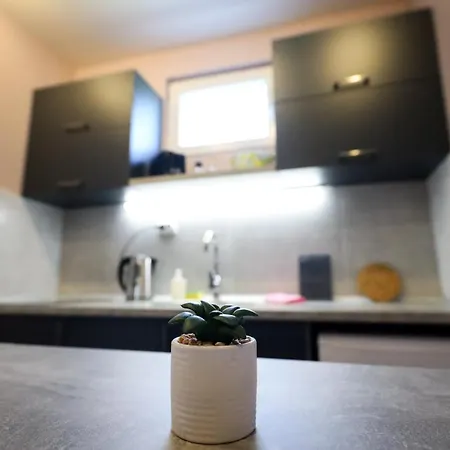 Bed & Breakfast Domacin Komsijska Gostiona Zrenjanin