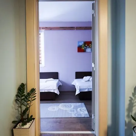 Domacin Komsijska Gostiona Bed & Breakfast Zrenjanin